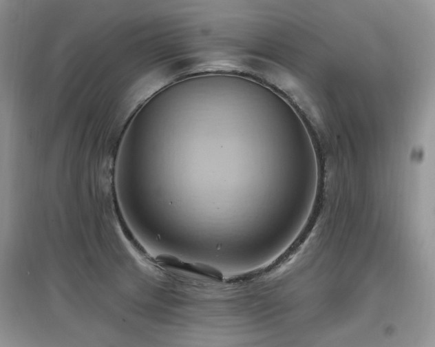 X0000097831233200803141138