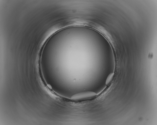X0000097831235200803141138