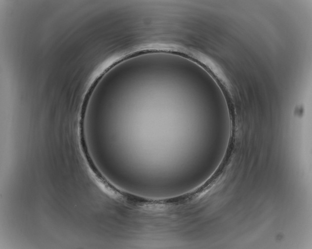 X0000097831237200803141138