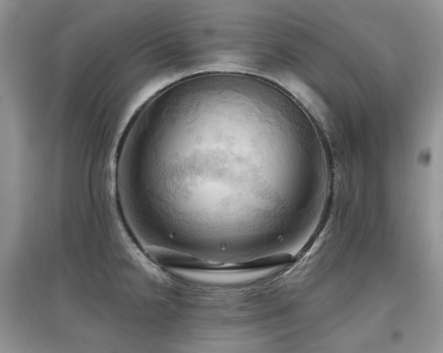 X0000097831238200803141138