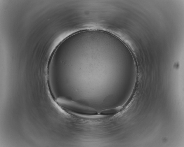 X0000097831239200803141138
