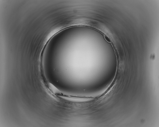 X0000097831242200803141138