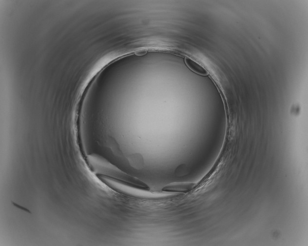 X0000097831243200803141138