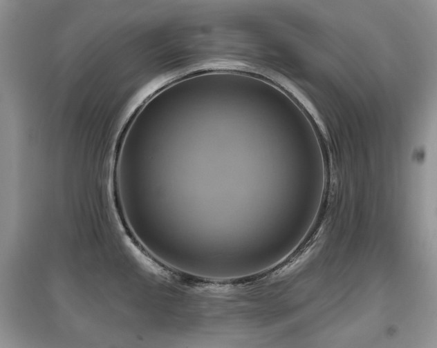 X0000097831245200803141138