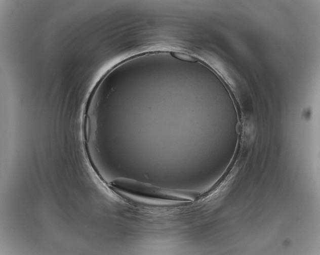 X0000097831246200803141138
