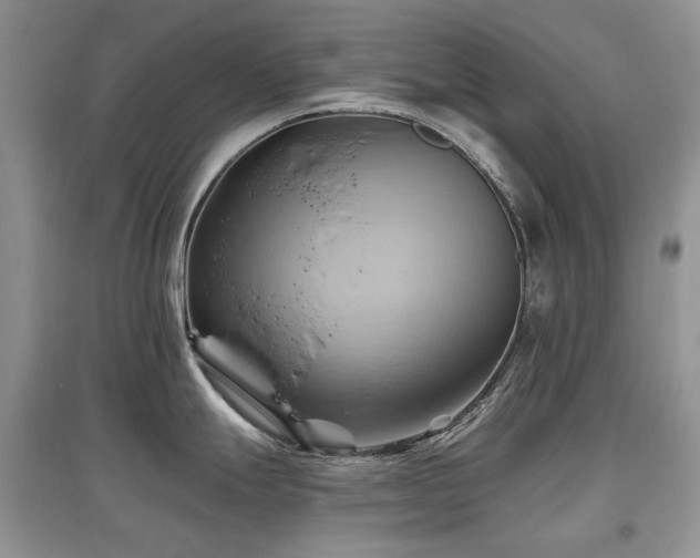X0000097831247200803141138