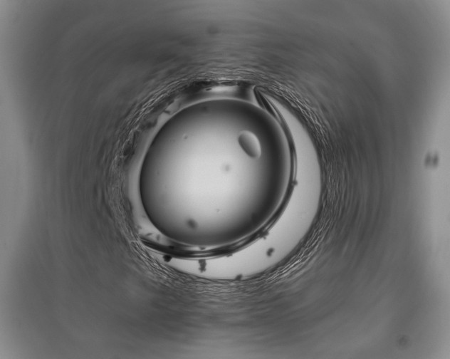 X0000097831249200803141137
