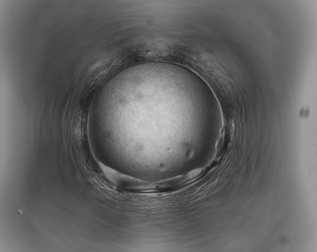 X0000097831250200803141137