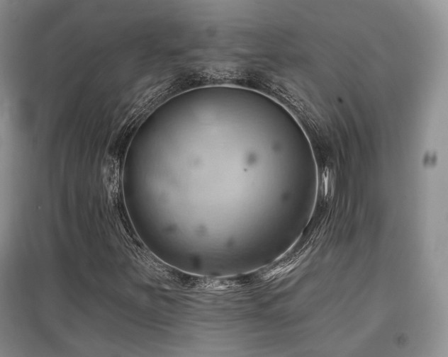 X0000097831251200803141137