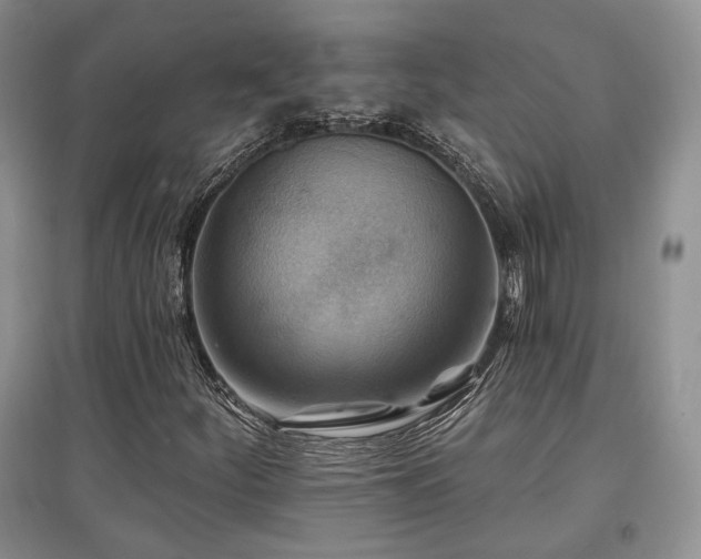 X0000097831252200803141137