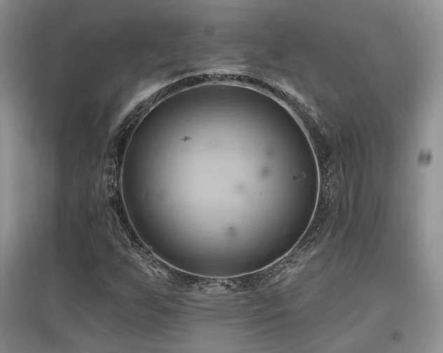 X0000097831255200803141137