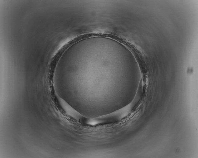 X0000097831256200803141137