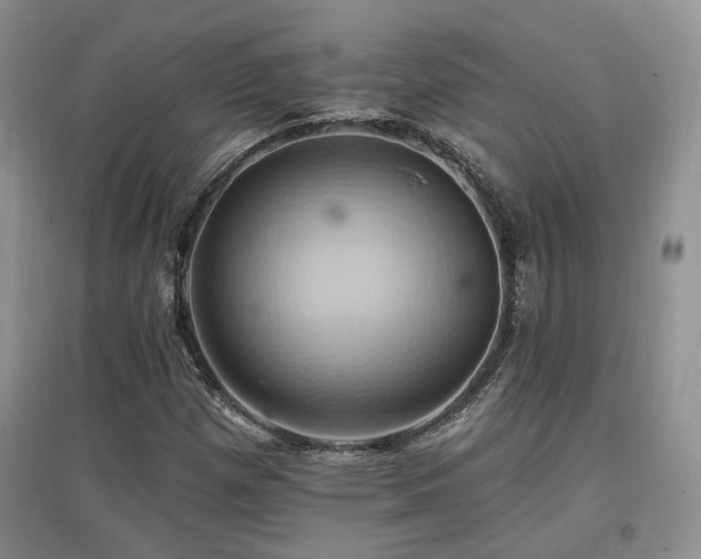 X0000097831257200803141137