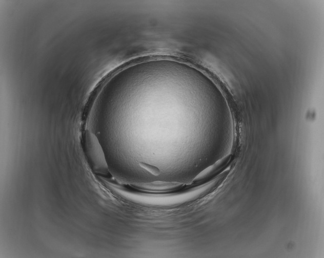 X0000097831260200803141137