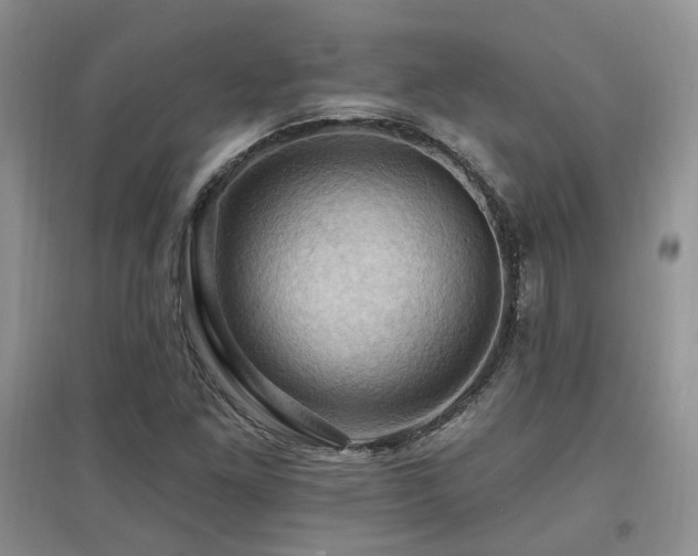 X0000097831261200803141137