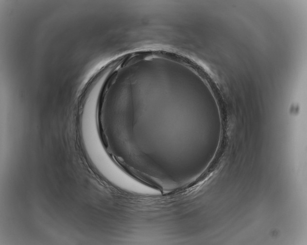 X0000097831263200803141137