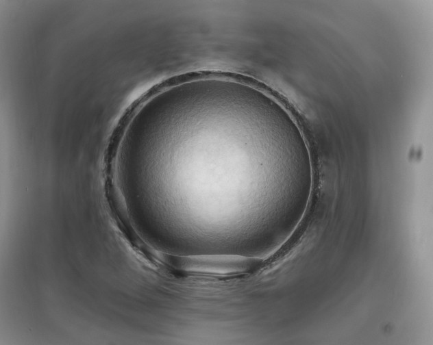 X0000097831264200803141137
