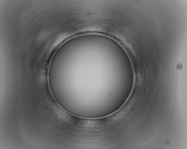 X0000097831266200803141137
