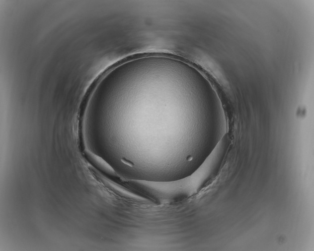 X0000097831268200803141137