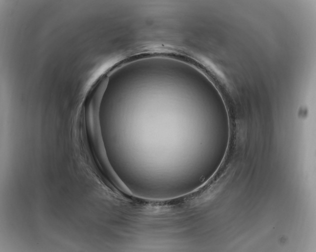 X0000097831269200803141137