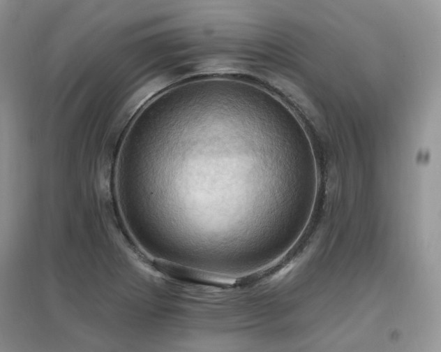X0000097831273200803141137