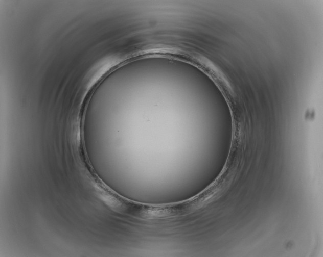 X0000097831274200803141137