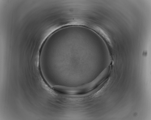 X0000097831276200803141137