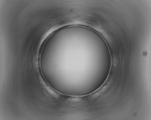 X0000097831278200803141137