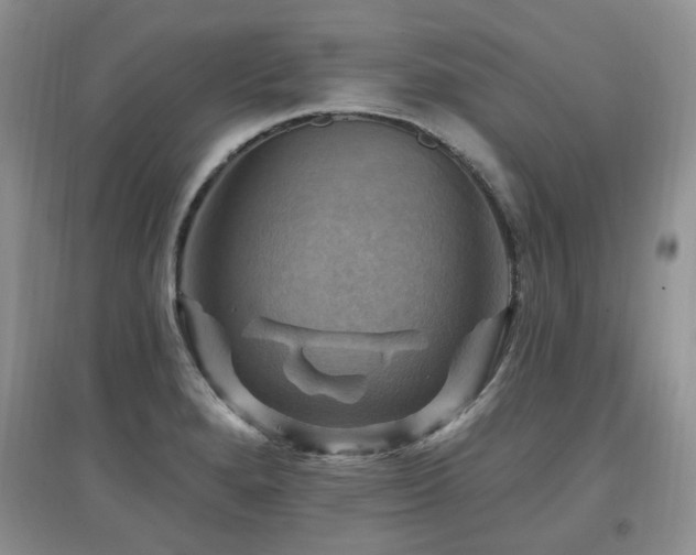 X0000097831280200803141137