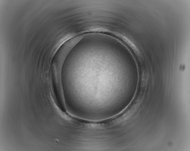 X0000097831281200803141137
