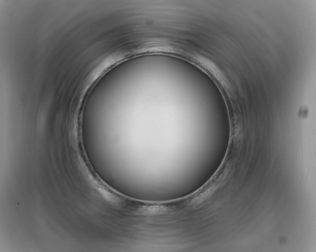 X0000097831282200803141137