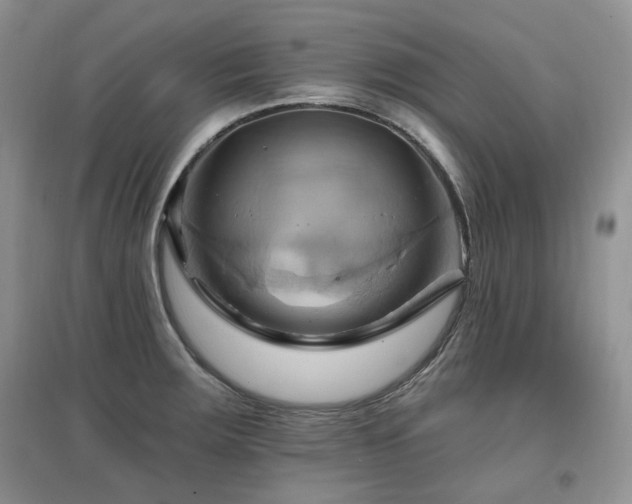 X0000097831283200803141137