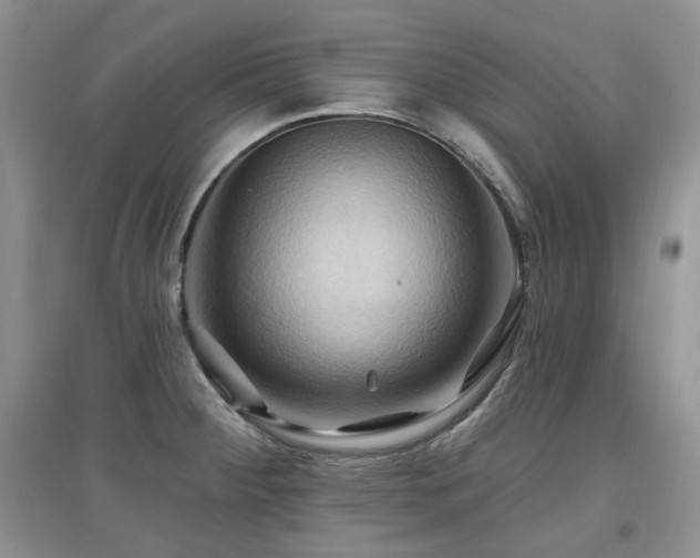 X0000097831284200803141137
