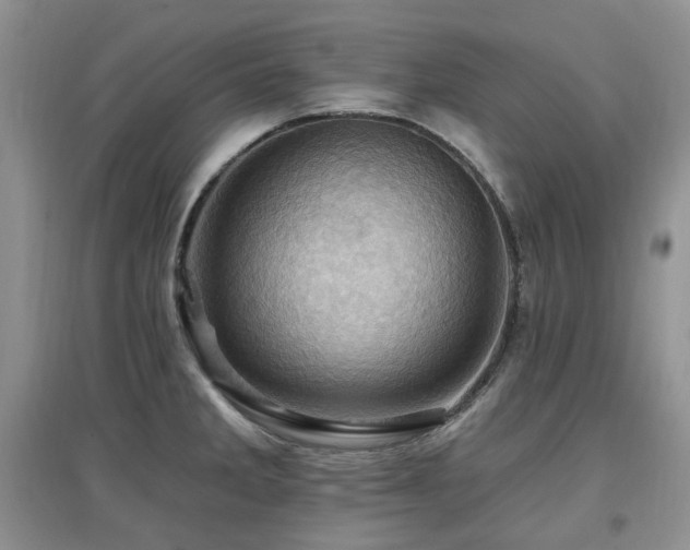 X0000097831285200803141137