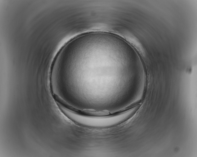 X0000097831288200803141137
