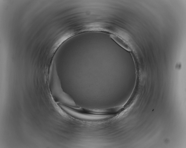 X0000097831289200803141137
