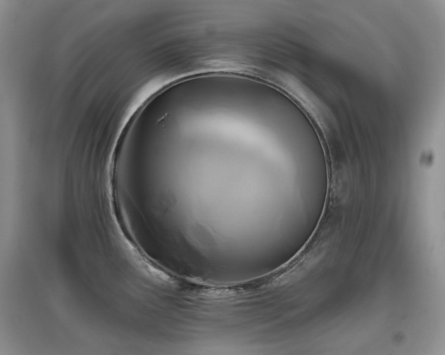 X0000097831291200803141137
