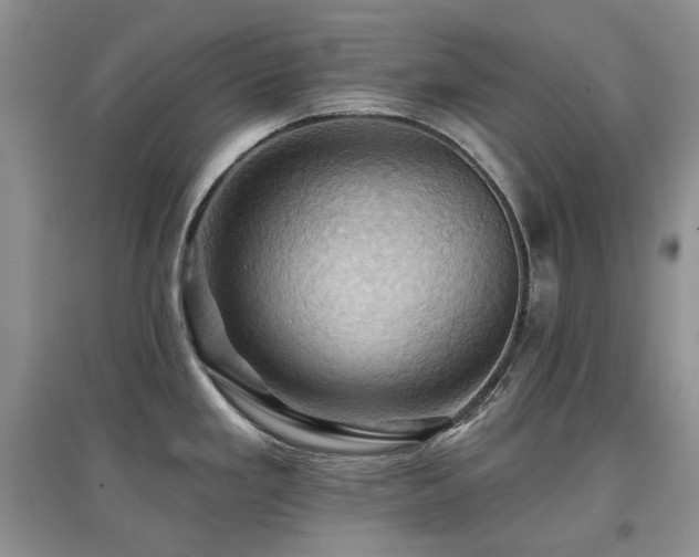 X0000097831293200803141137