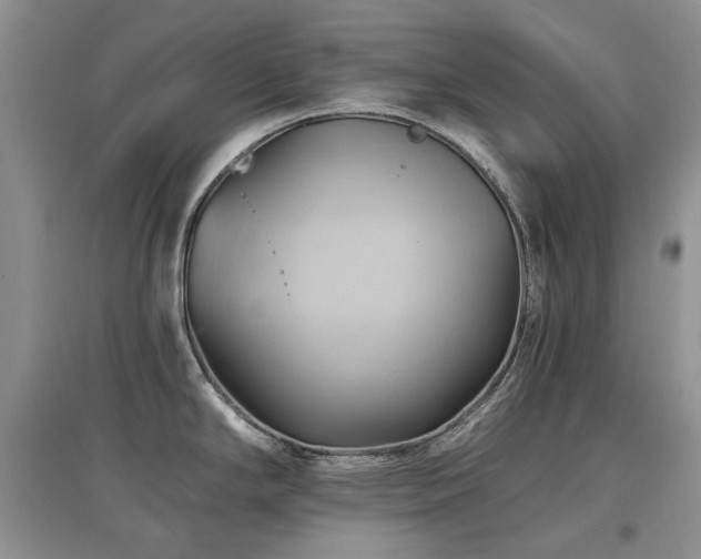 X0000097831294200803141137