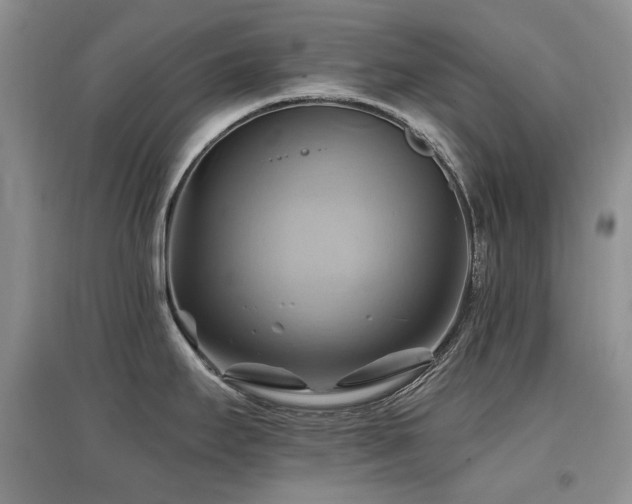 X0000097831295200803141137