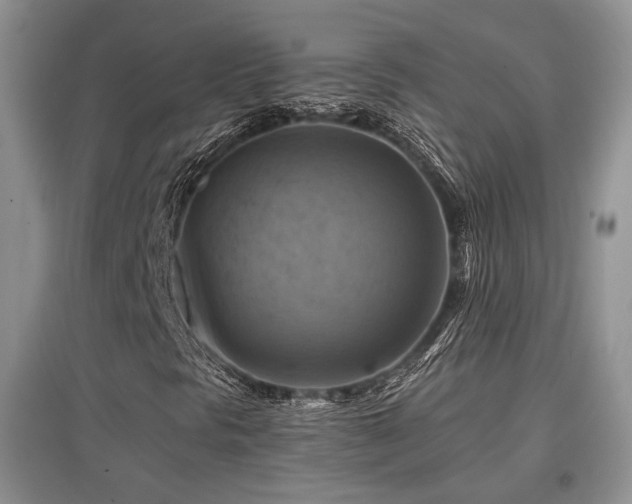 X0000097831297200803141136