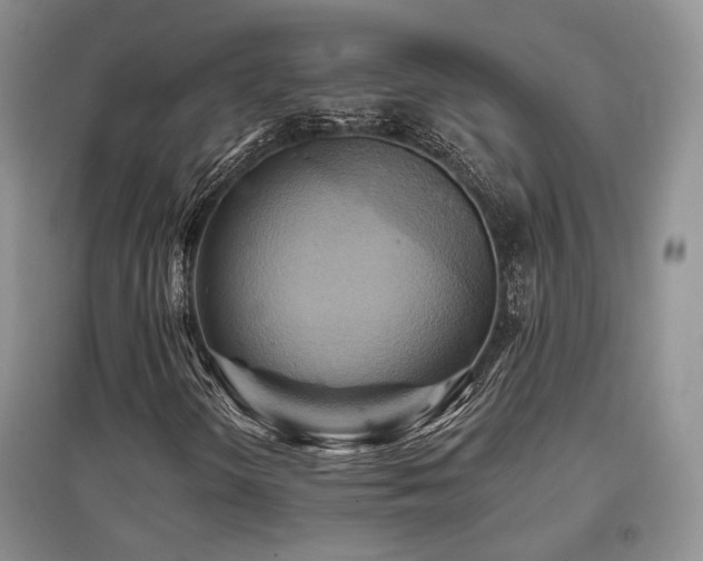 X0000097831298200803141136