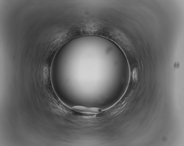 X0000097831299200803141136