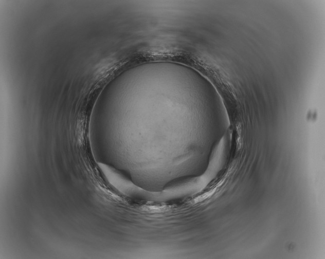 X0000097831300200803141136