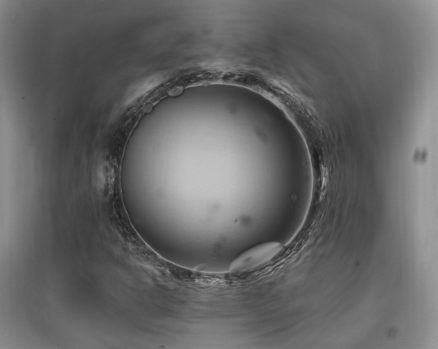 X0000097831302200803141136