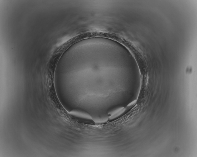 X0000097831303200803141136