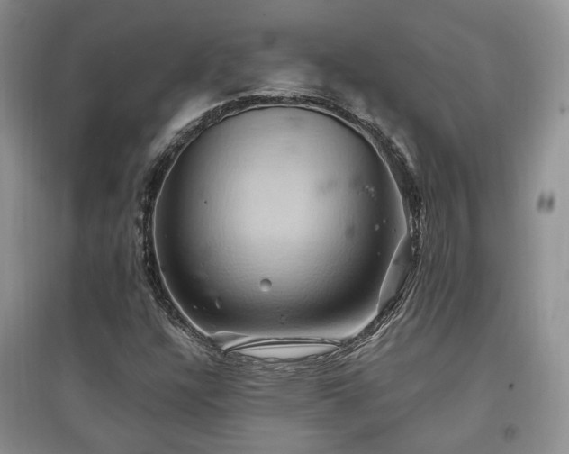 X0000097831304200803141136