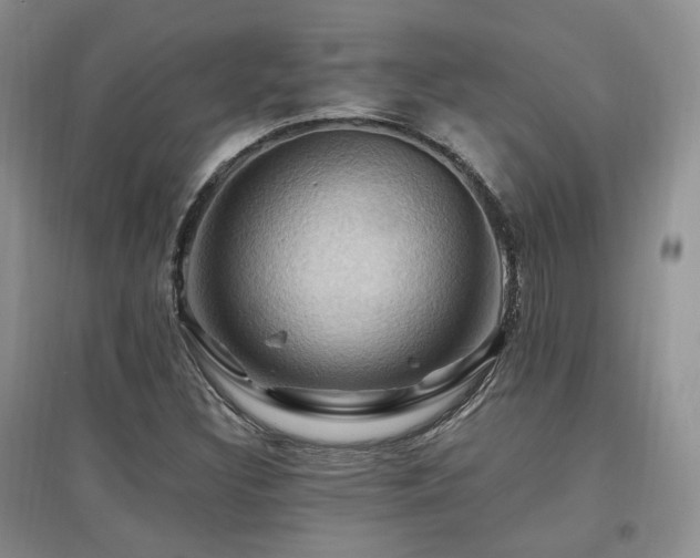 X0000097831308200803141136