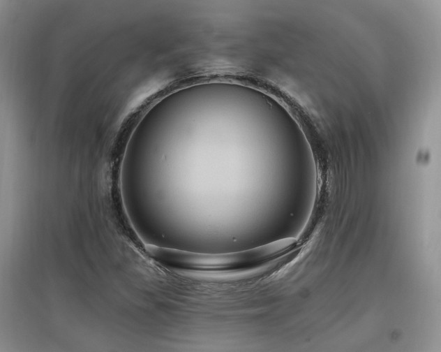 X0000097831309200803141136