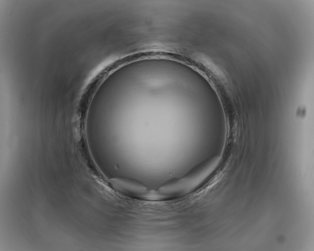 X0000097831310200803141136